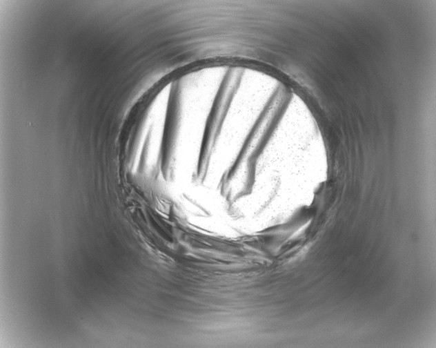 X0000065250877200603172201