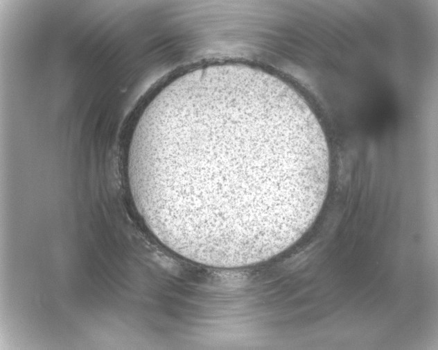 X0000065250878200603172201