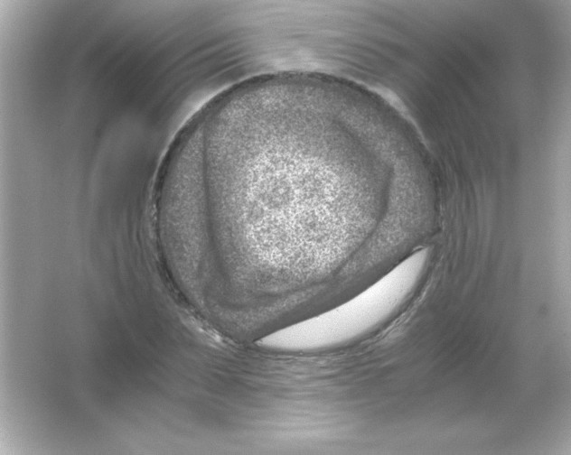 X0000065250879200603172201