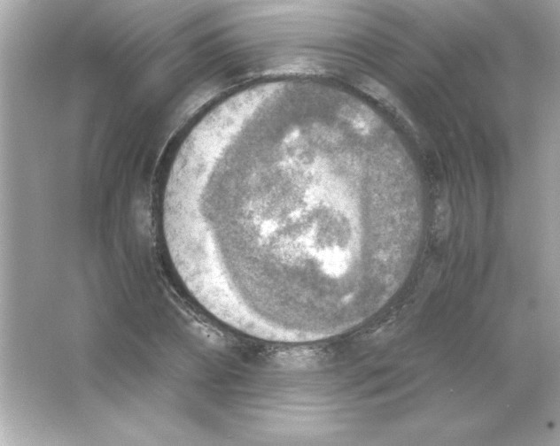 X0000065250882200603172201