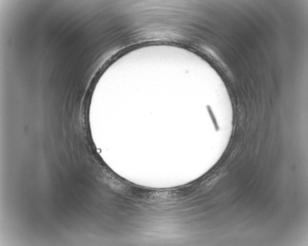 X0000065250883200603172201