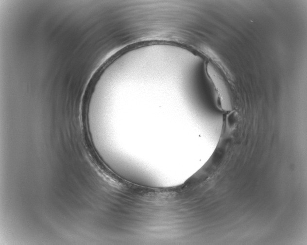 X0000065250884200603172201