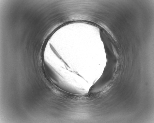 X0000065250885200603172201