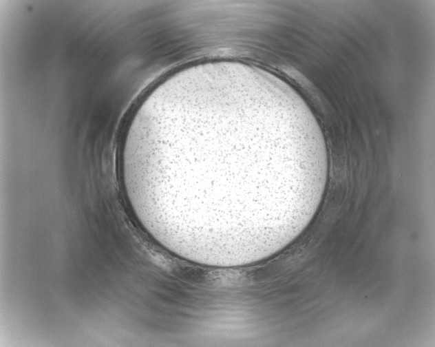 X0000065250886200603172201