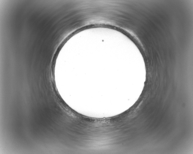 X0000065250887200603172201