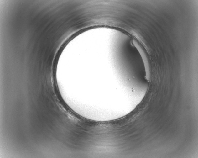 X0000065250888200603172201