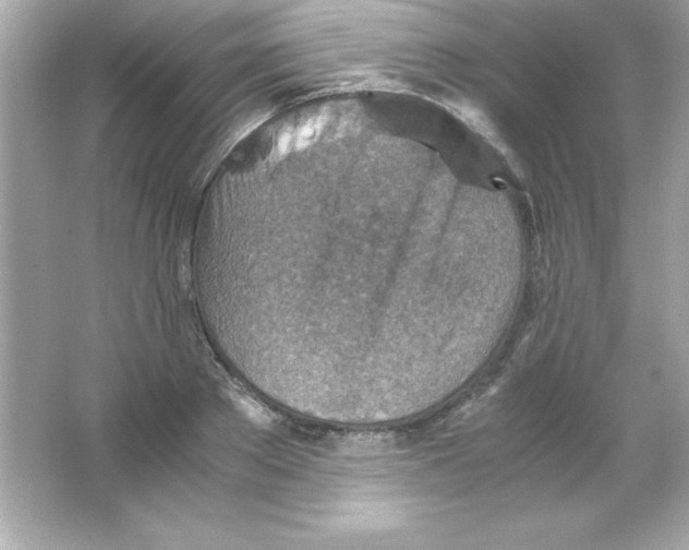 X0000065250889200603172201