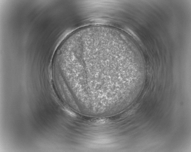 X0000065250891200603172201