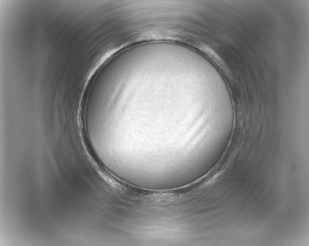 X0000065250893200603172201