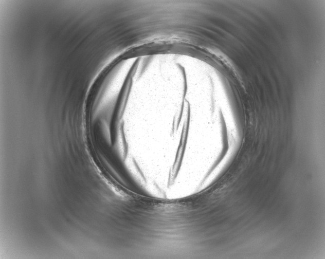 X0000065250894200603172201