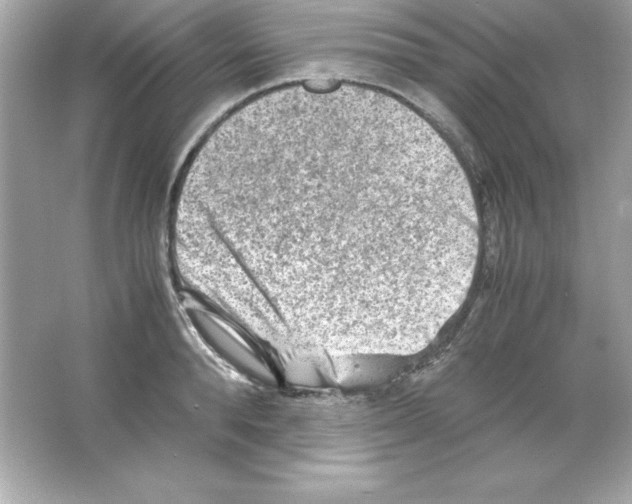 X0000065250896200603172201