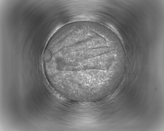 X0000065250899200603172201