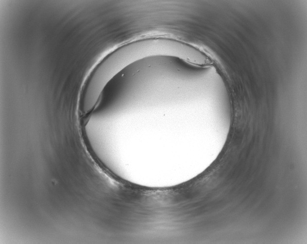 X0000065250902200603172201