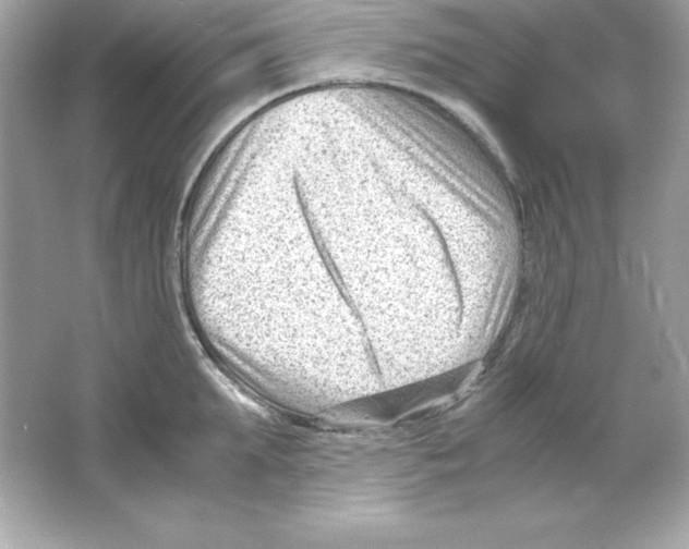 X0000065250903200603172201