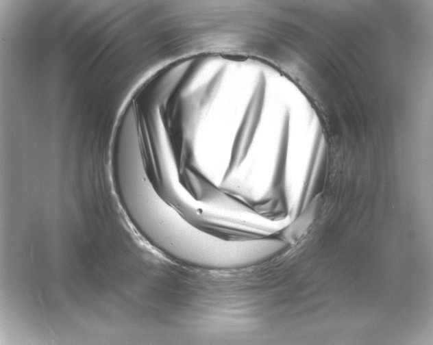 X0000065250904200603172201