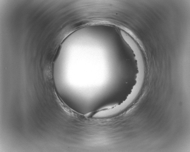 X0000065250905200603172201