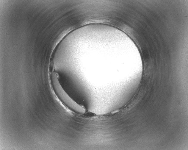 X0000065250906200603172201