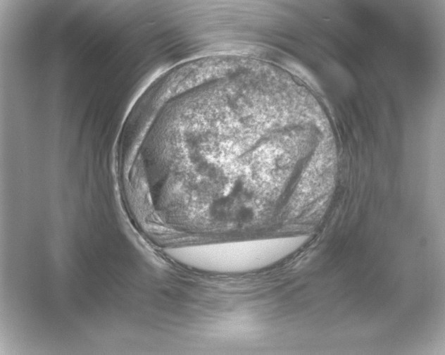 X0000065250907200603172201