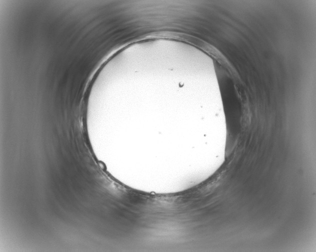 X0000065250908200603172201