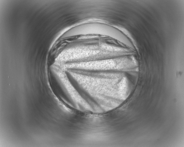 X0000065250910200603172201