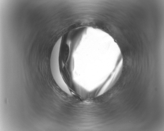 X0000065250914200603172200