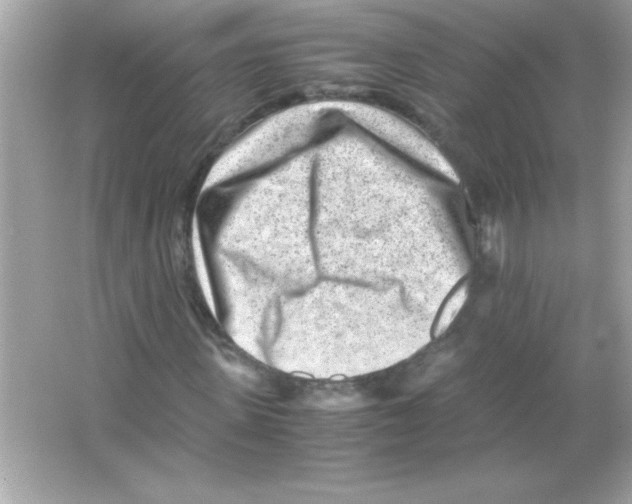 X0000065250915200603172200