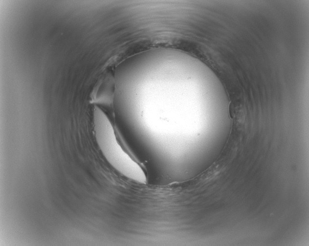 X0000065250916200603172200