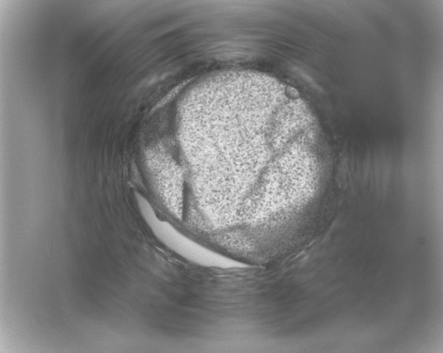 X0000065250917200603172200