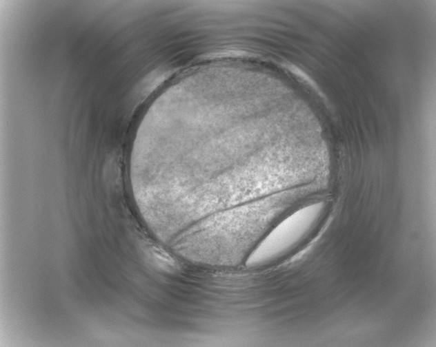 X0000065250921200603172200