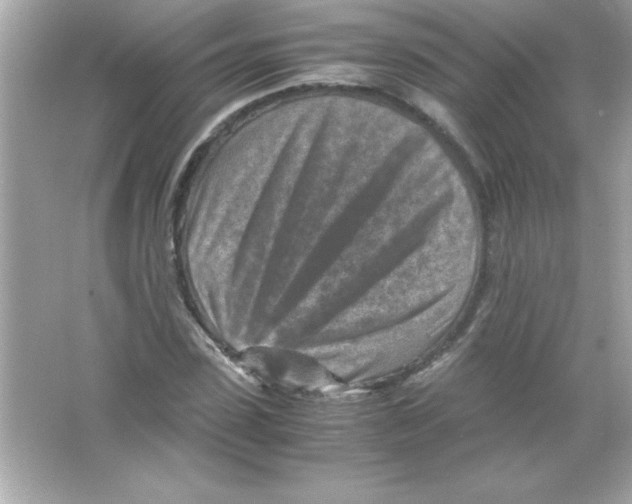 X0000065250923200603172200