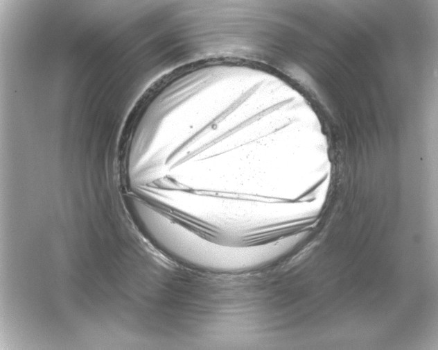 X0000065250924200603172200