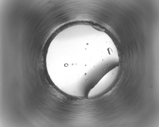 X0000065250926200603172200