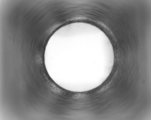 X0000065250929200603172200