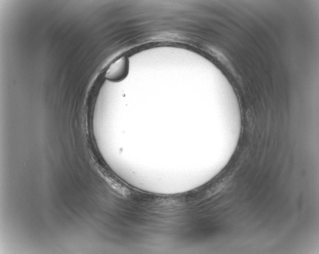 X0000065250931200603172200