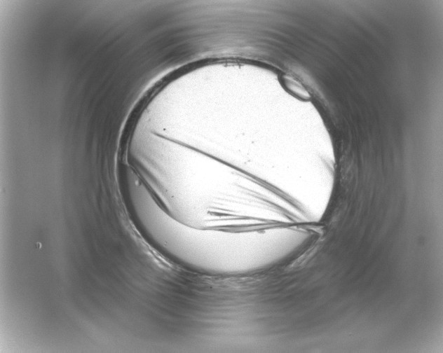 X0000065250932200603172200