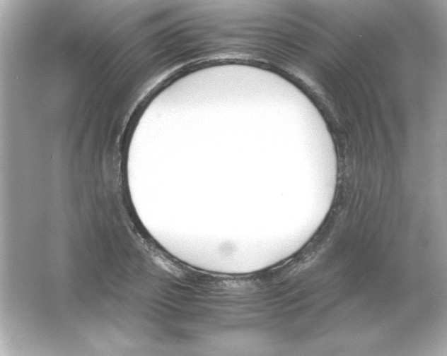 X0000065250933200603172200