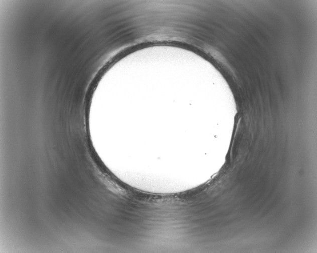 X0000065250934200603172200