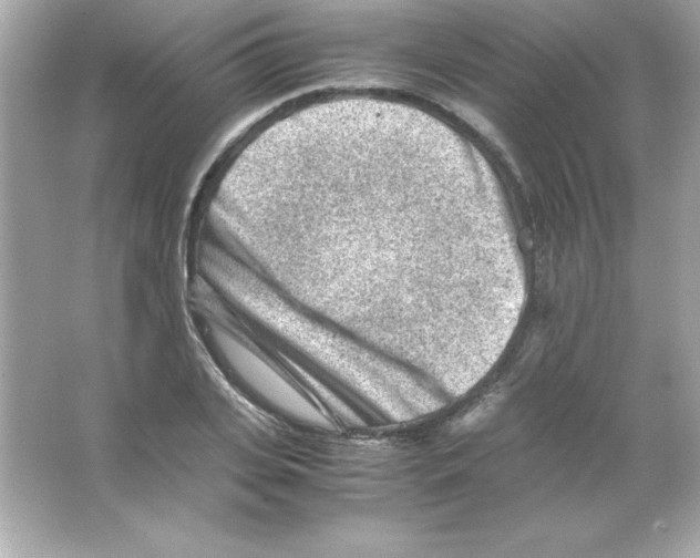 X0000065250935200603172200