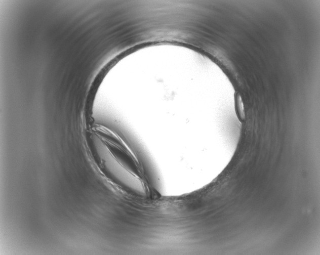 X0000065250936200603172200