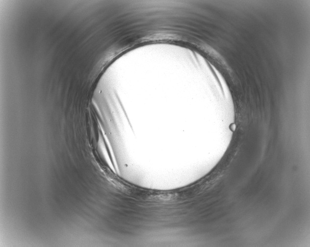 X0000065250937200603172200