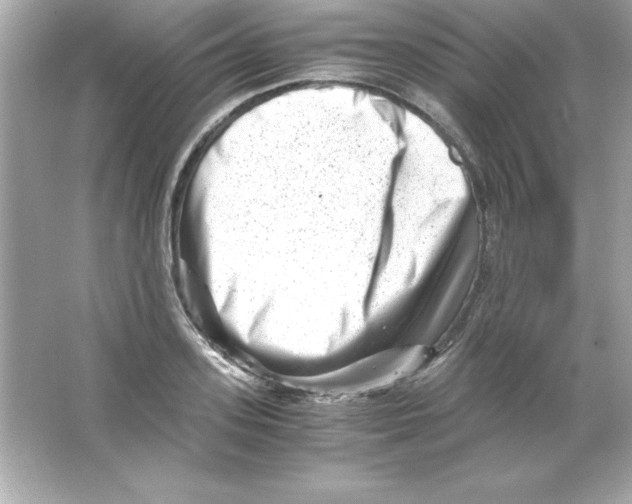 X0000065250939200603172200