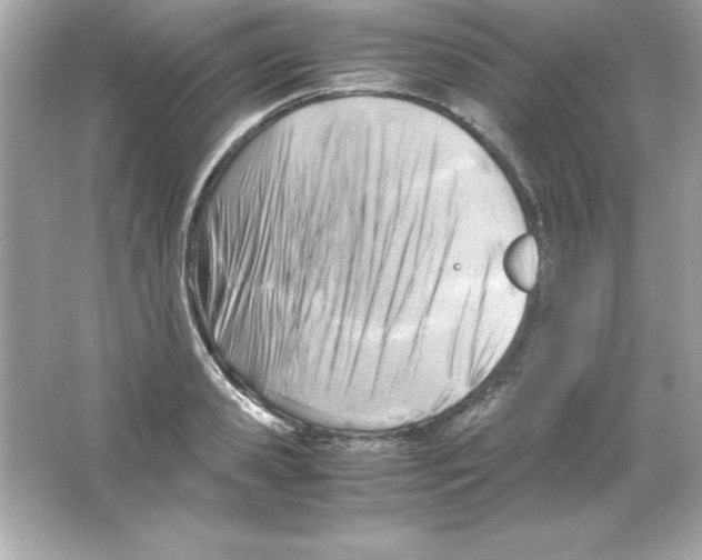 X0000065250941200603172200