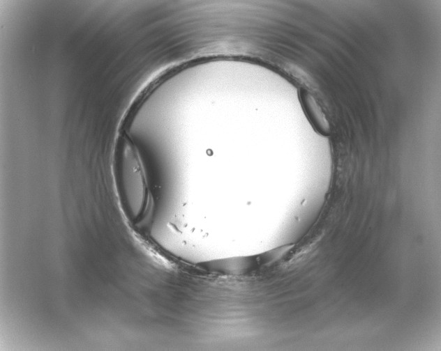 X0000065250942200603172200