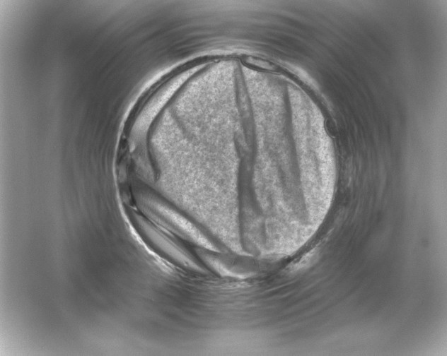 X0000065250943200603172200