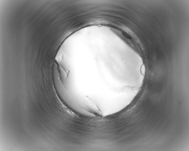 X0000065250945200603172200