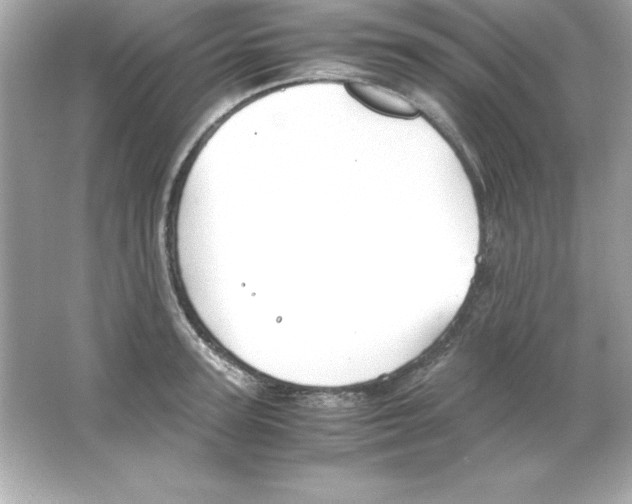 X0000065250947200603172200