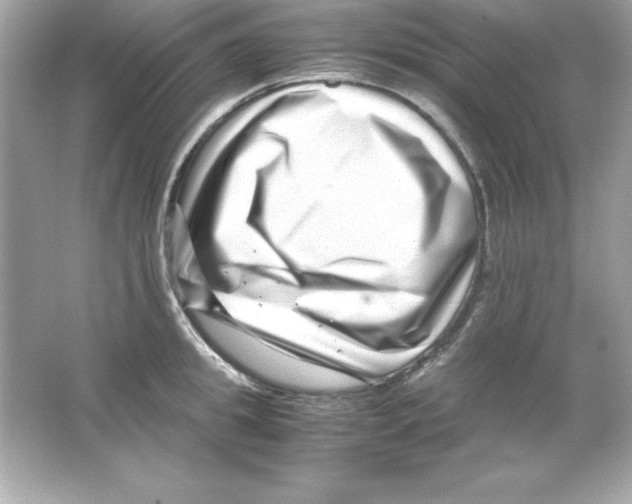 X0000065250949200603172201