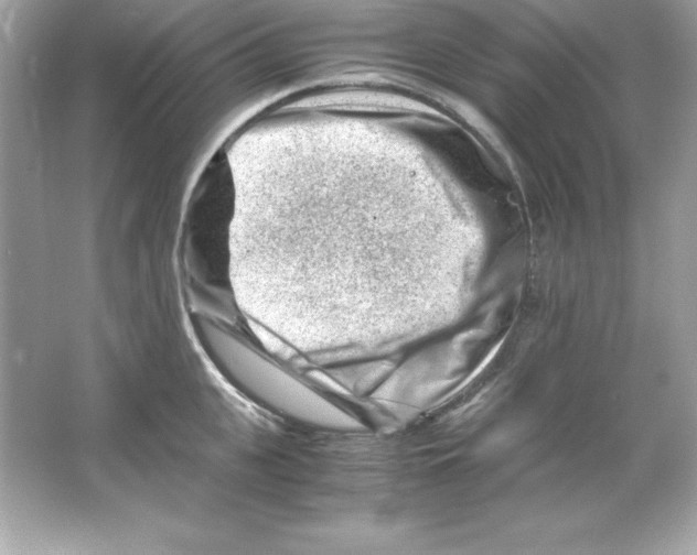 X0000065250951200603172201