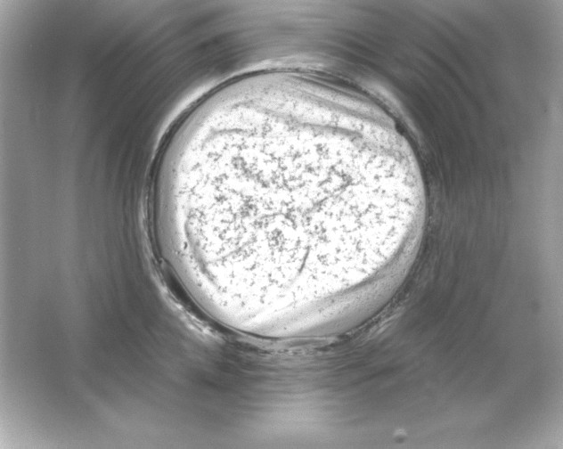 X0000065250952200603172201