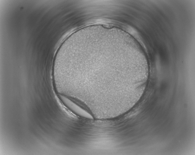 X0000065250954200603172201